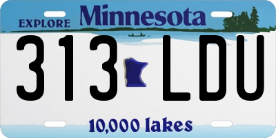 MN license plate 313LDU