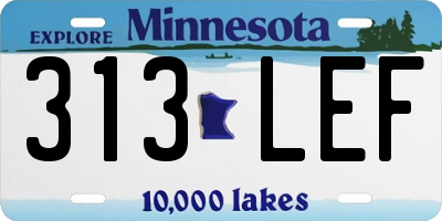 MN license plate 313LEF