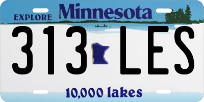 MN license plate 313LES