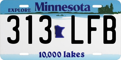 MN license plate 313LFB