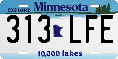 MN license plate 313LFE