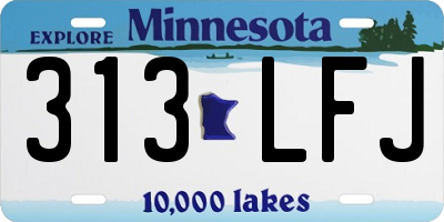 MN license plate 313LFJ