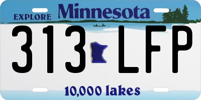 MN license plate 313LFP