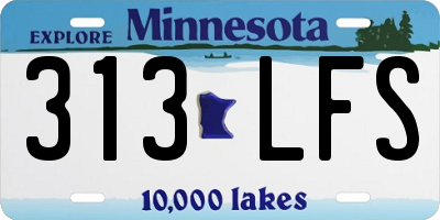 MN license plate 313LFS