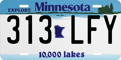MN license plate 313LFY