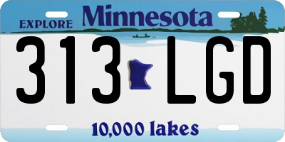 MN license plate 313LGD