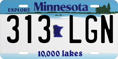 MN license plate 313LGN