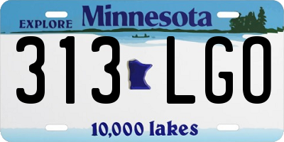 MN license plate 313LGO