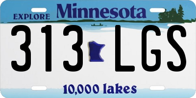 MN license plate 313LGS