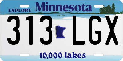 MN license plate 313LGX