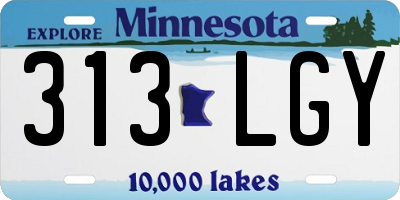 MN license plate 313LGY