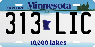 MN license plate 313LIC