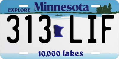 MN license plate 313LIF