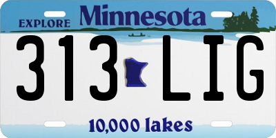 MN license plate 313LIG