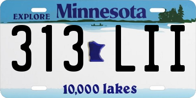 MN license plate 313LII