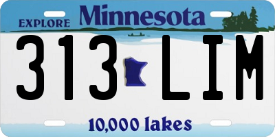 MN license plate 313LIM