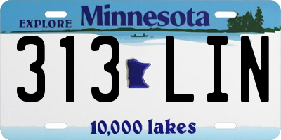 MN license plate 313LIN