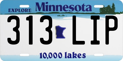 MN license plate 313LIP