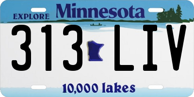 MN license plate 313LIV