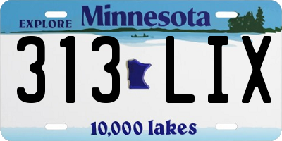 MN license plate 313LIX