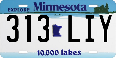MN license plate 313LIY