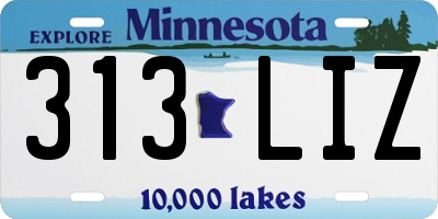 MN license plate 313LIZ