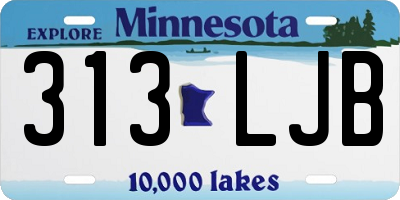 MN license plate 313LJB