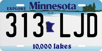 MN license plate 313LJD