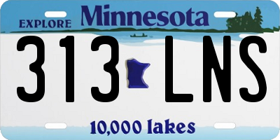 MN license plate 313LNS