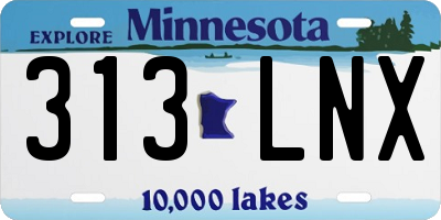 MN license plate 313LNX