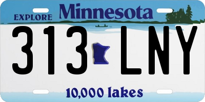 MN license plate 313LNY