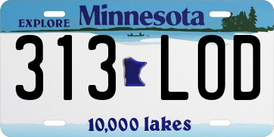 MN license plate 313LOD