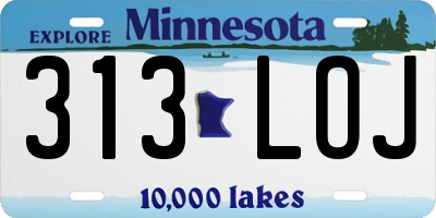 MN license plate 313LOJ