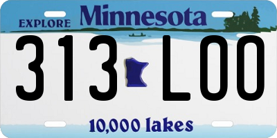 MN license plate 313LOO