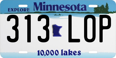 MN license plate 313LOP