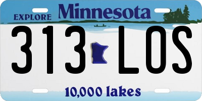 MN license plate 313LOS