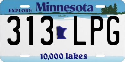 MN license plate 313LPG