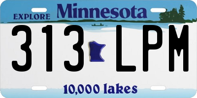 MN license plate 313LPM