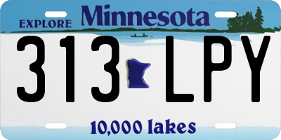 MN license plate 313LPY