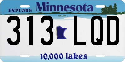 MN license plate 313LQD