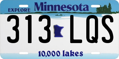 MN license plate 313LQS