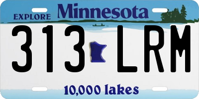 MN license plate 313LRM
