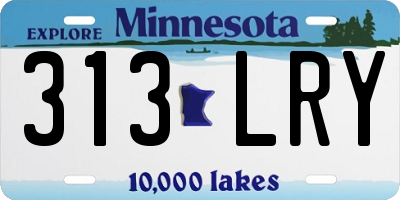 MN license plate 313LRY