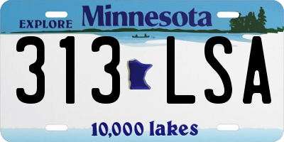 MN license plate 313LSA