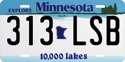 MN license plate 313LSB