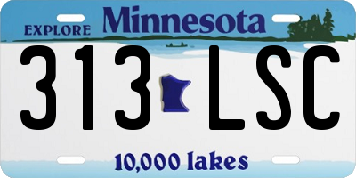 MN license plate 313LSC