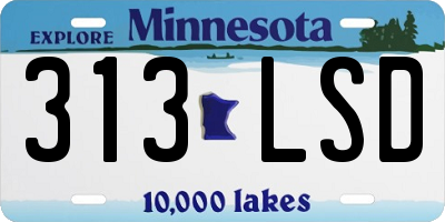 MN license plate 313LSD