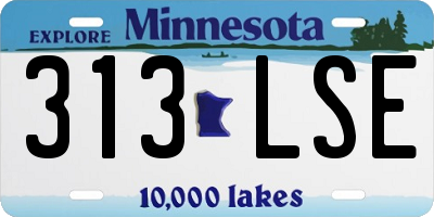 MN license plate 313LSE
