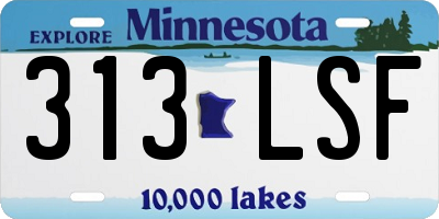 MN license plate 313LSF