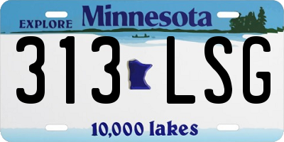 MN license plate 313LSG